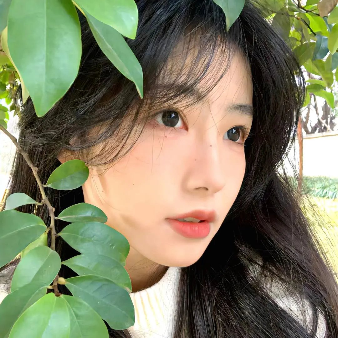 朝颜
